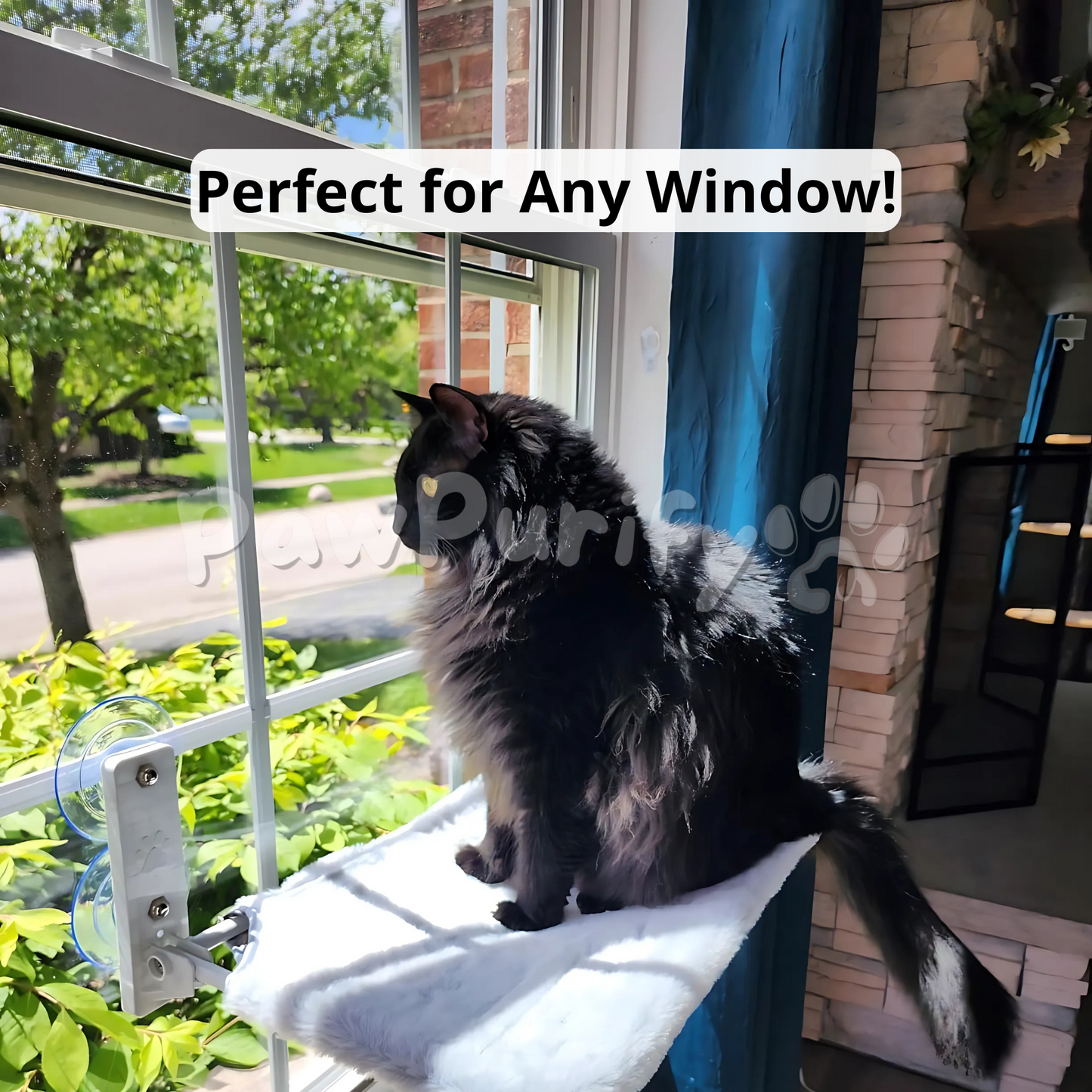 Cloud Nine - PawPurify