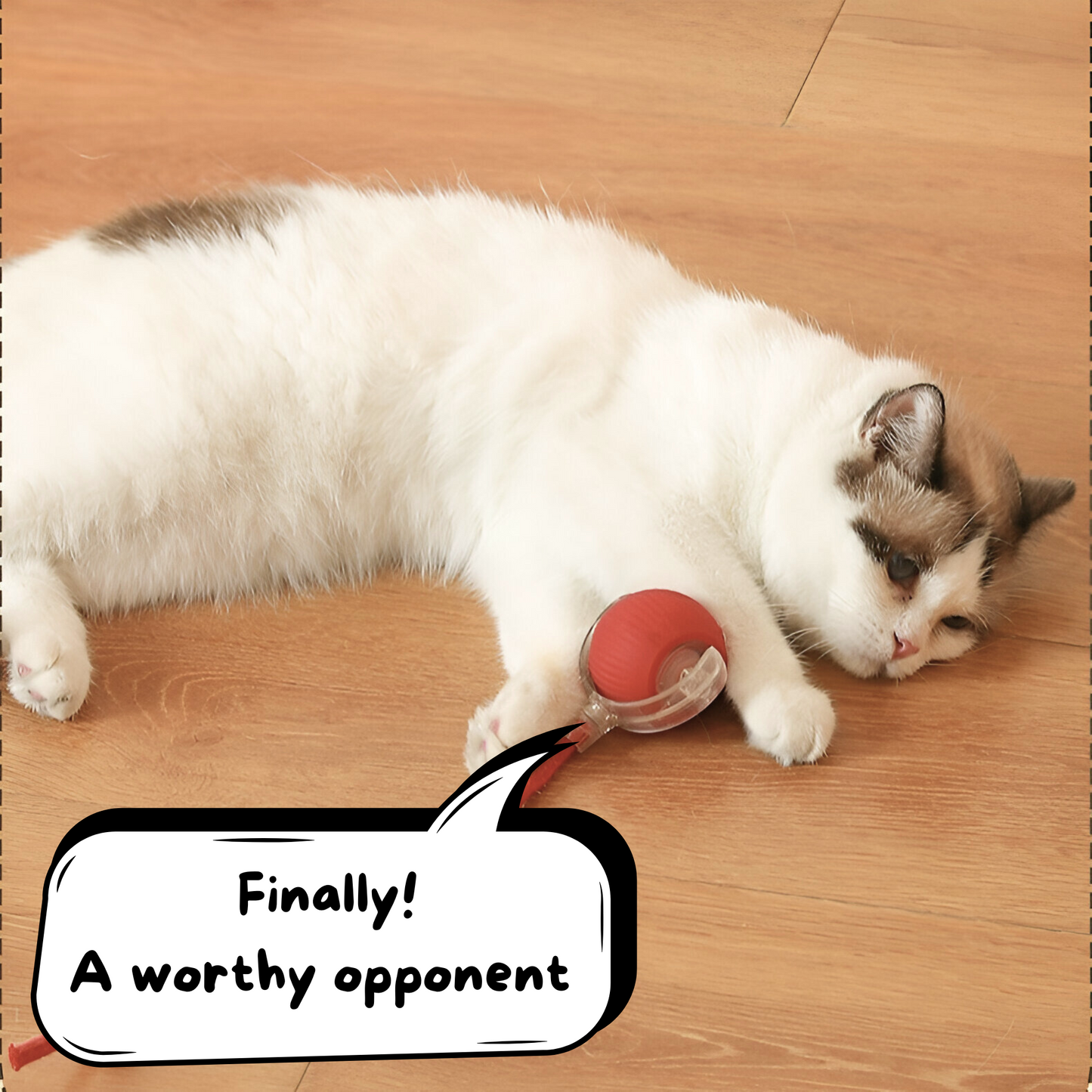 BounceRoll - PawPurify