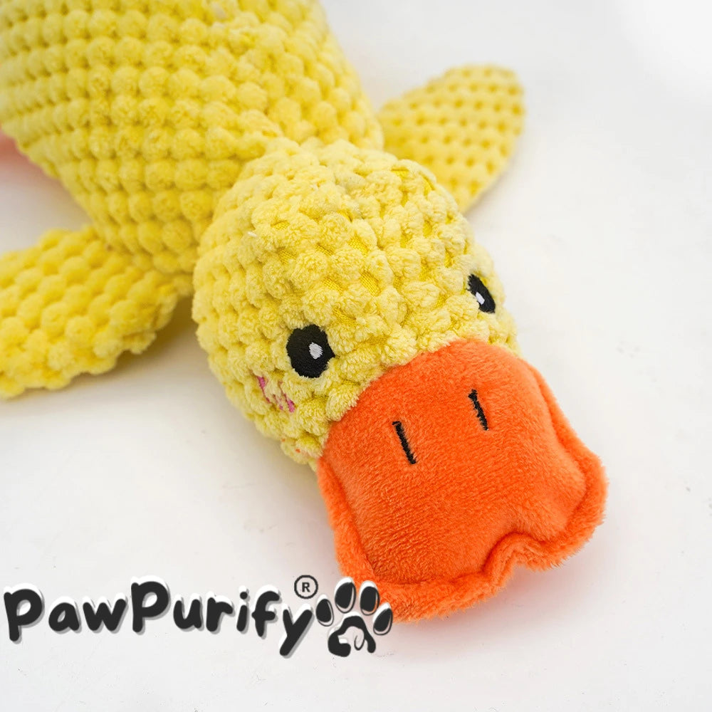 Quacky Duck - PawPurify