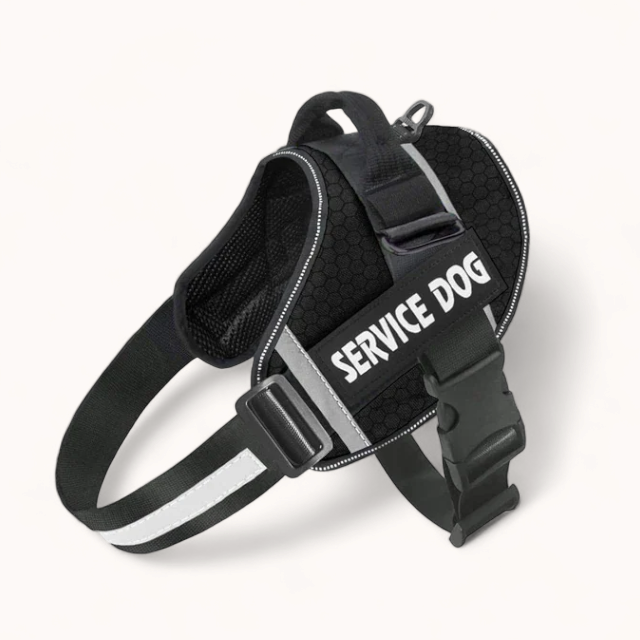 PawPull Harness - PawPurify