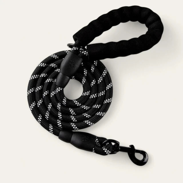 PawPull Leash - PawPurify