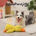 Quacky Duck - PawPurify