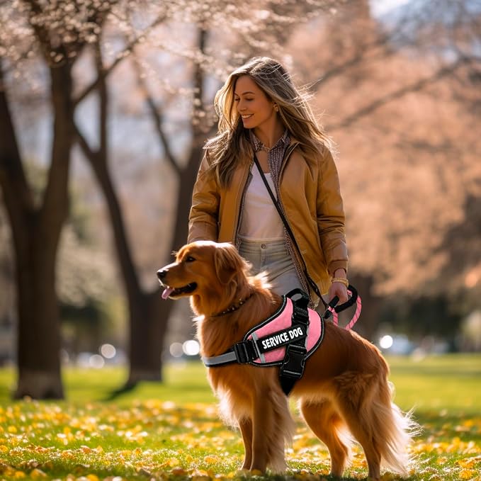 PawPull Harness - PawPurify