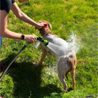 Paw Spray - PawPurify