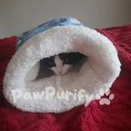 PurrNest - Warm Hug Bag - PawPurify