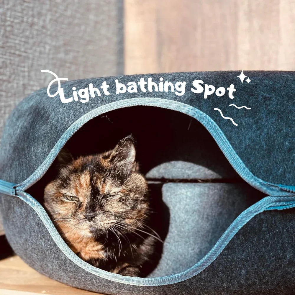 Tortoiseshell cat relaxing in a cozy felt pet cave bed, sunlit indoor light bathing spot