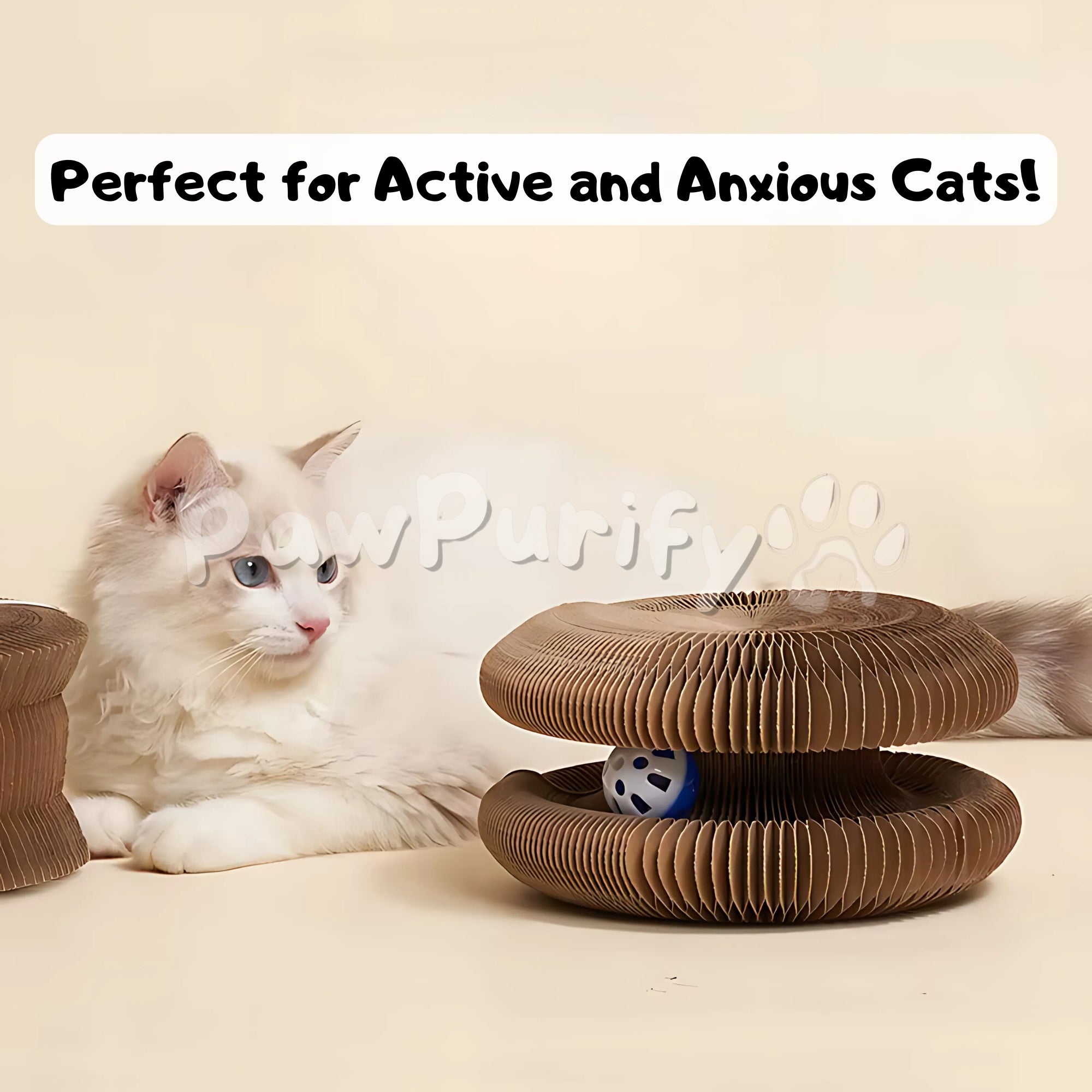 Scratch&Curl - PawPurify