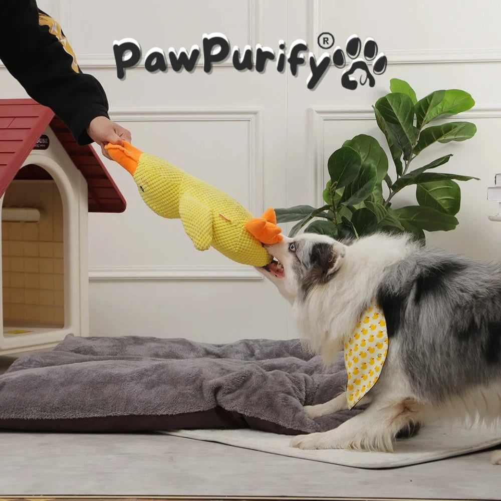 Quacky Duck - PawPurify