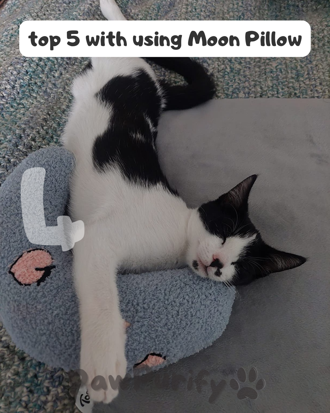 Moon Pillow - PawPurify