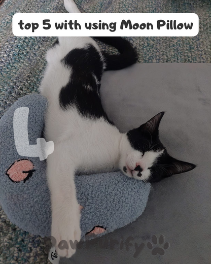 Moon Pillow - PawPurify