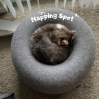 Cat sleeping in a cozy cat donut