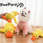 Quacky Duck - PawPurify