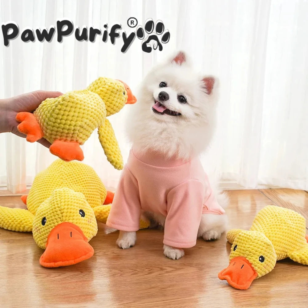 Quacky Duck - PawPurify