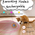 Hide-N-Seek Cave - PawPurify