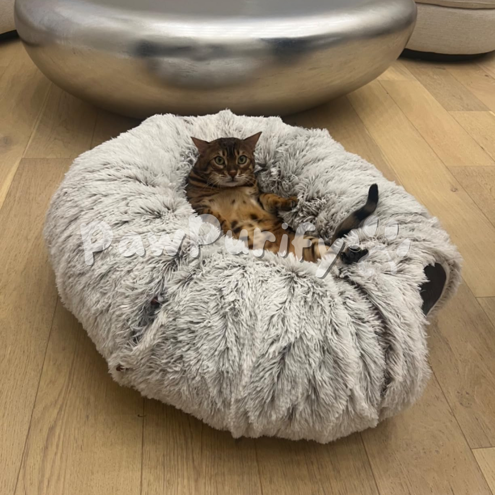 Cozy Beds