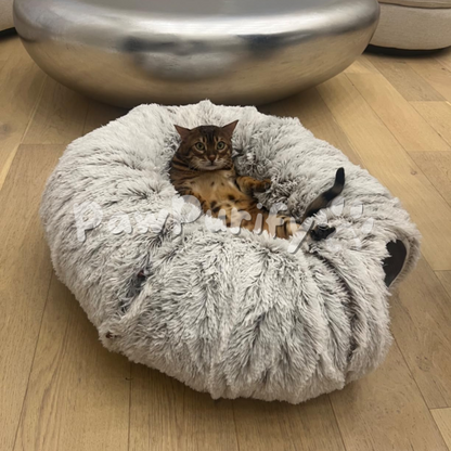 Cozy CatCave