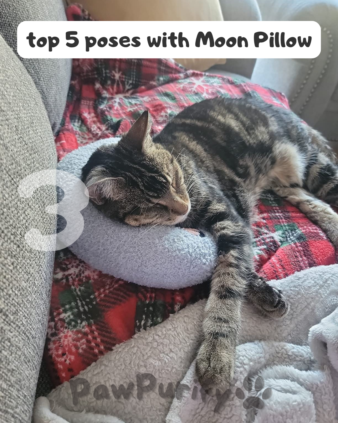 Moon Pillow - PawPurify