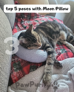 Moon Pillow - PawPurify