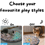 Hide-N-Seek Cave - PawPurify