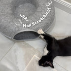 Black and white cat scratching a gray felt cat bed, cat furniture for nail care