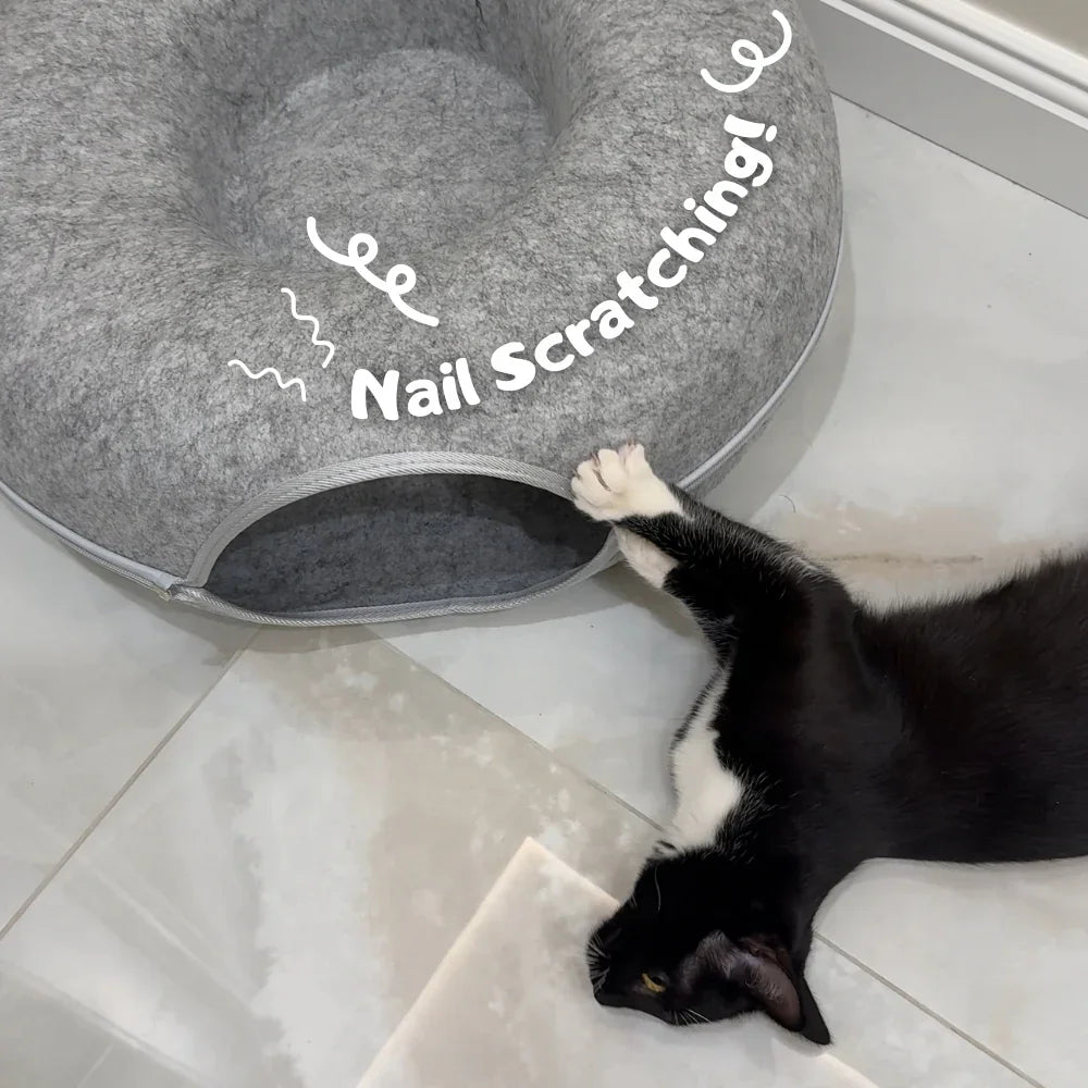 Black and white cat scratching a gray felt cat bed, cat furniture for nail care
