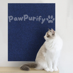 Scratch Shield - PawPurify