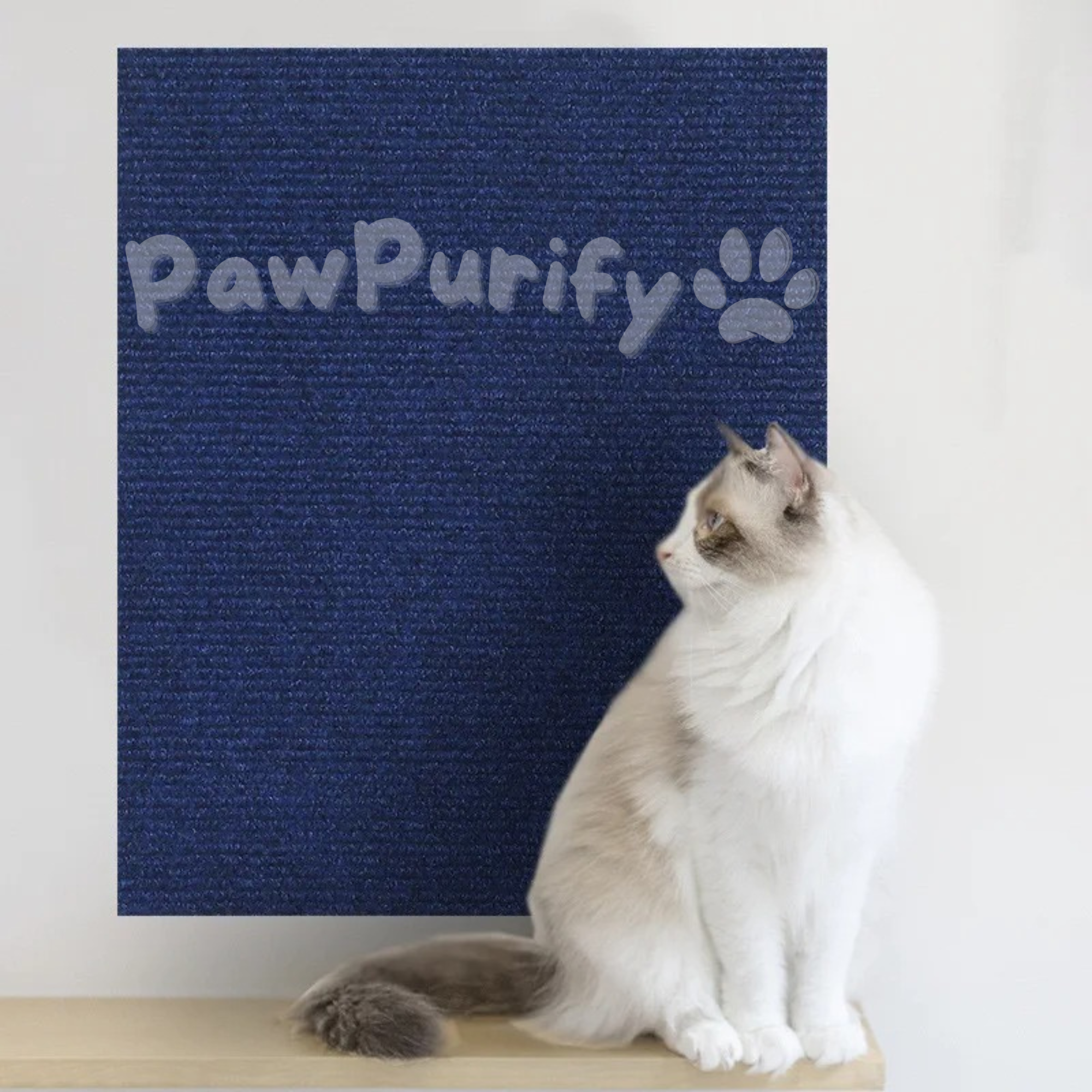 Scratch Shield - PawPurify