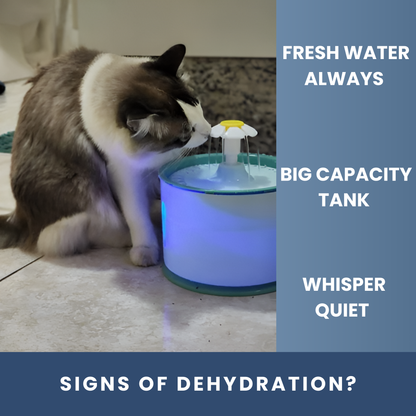 Cat drinking from LED pet water fountain with fresh flow, big tank, and whisper quiet design.