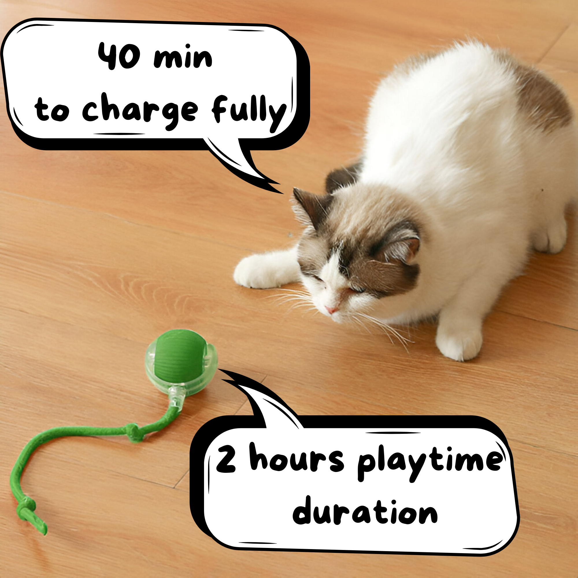 BounceRoll - PawPurify