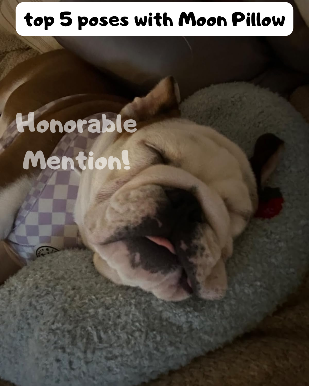 Moon Pillow - PawPurify