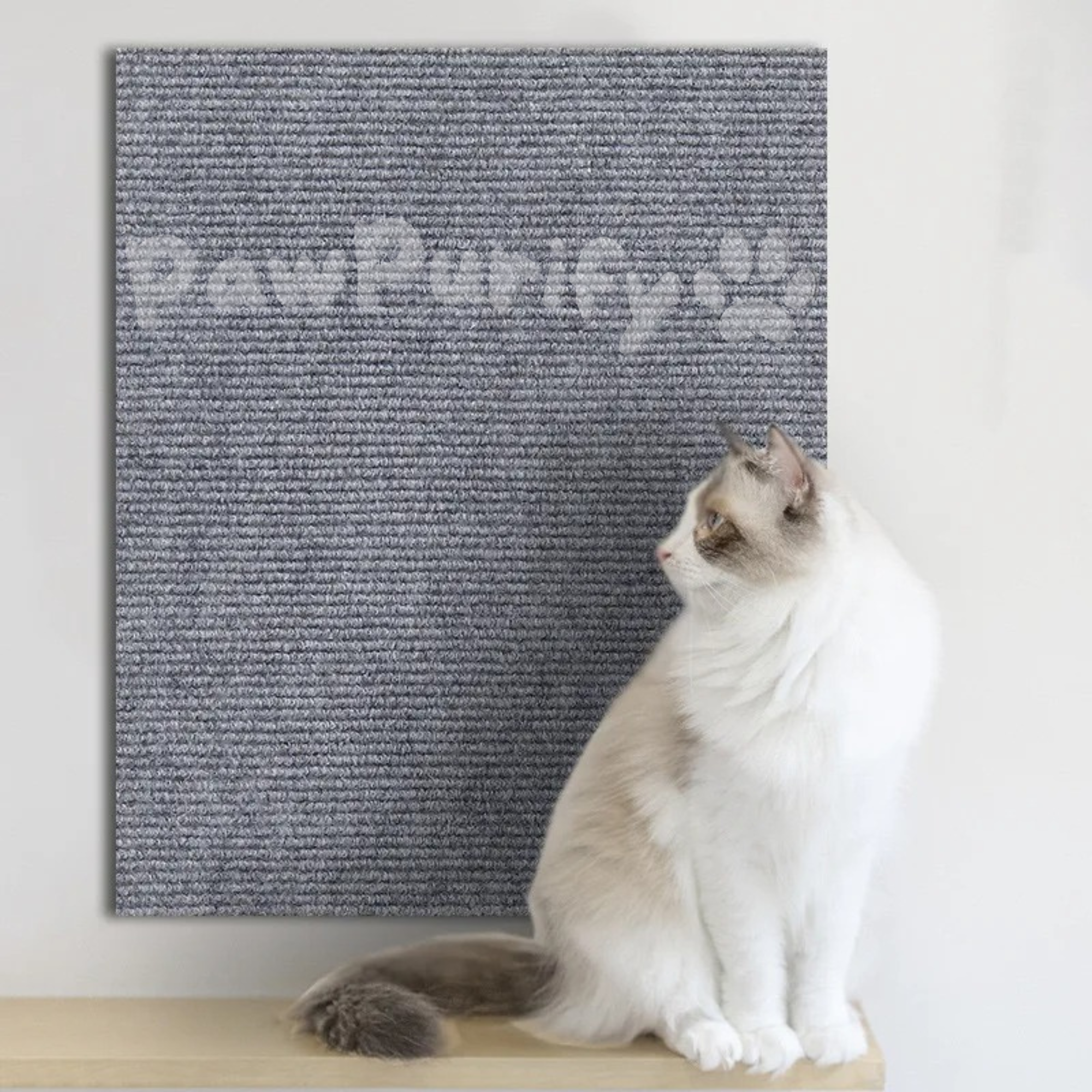 Scratch Shield - PawPurify
