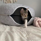 Paw Cave