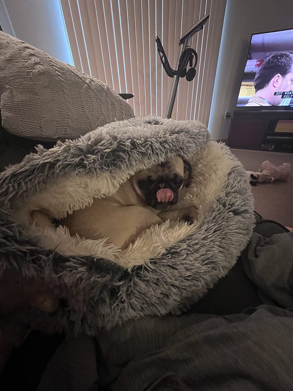 Jamie & Mochi