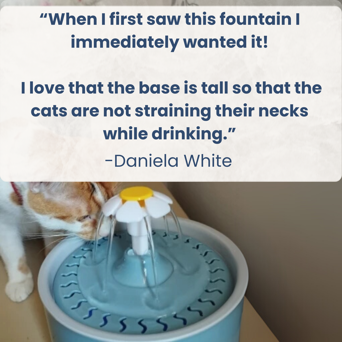 Cat drinking from elevated pet water fountain with flower-shaped spout, pet hydration product.