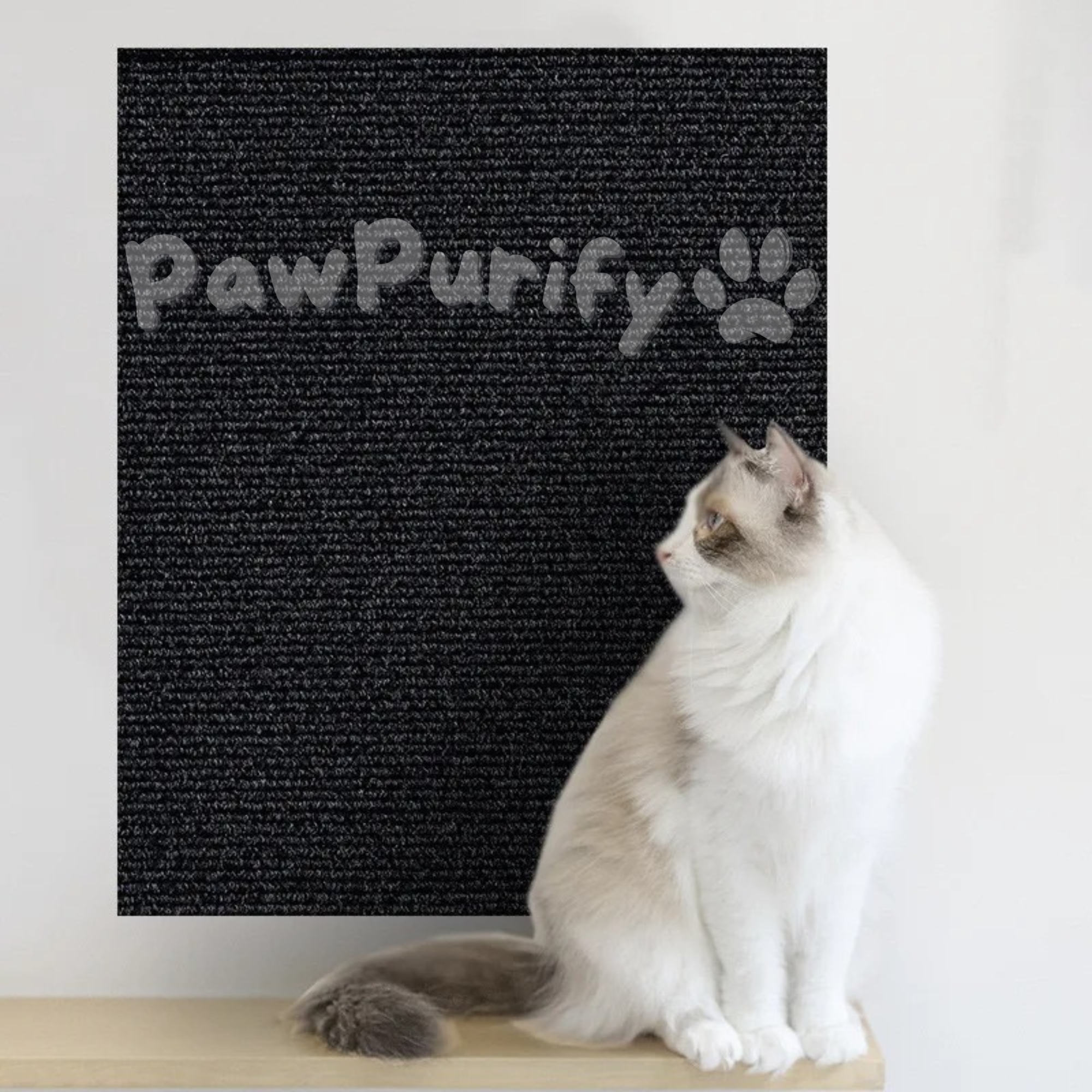 Scratch Shield - PawPurify
