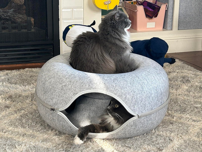 Jamie & Mochi review photo