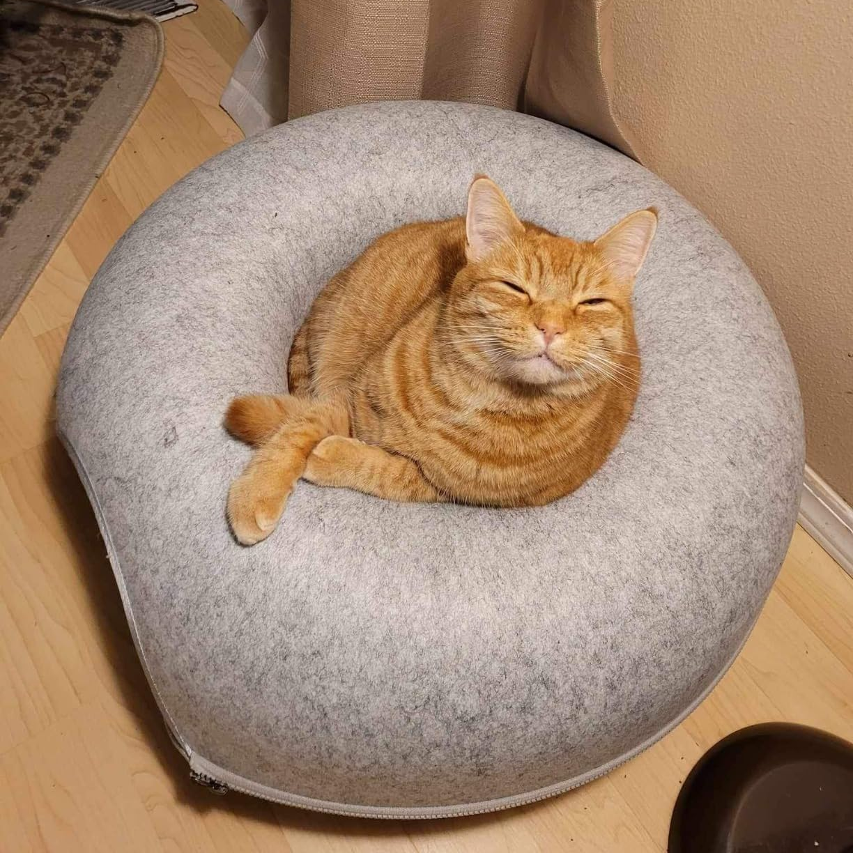 Paw Cave