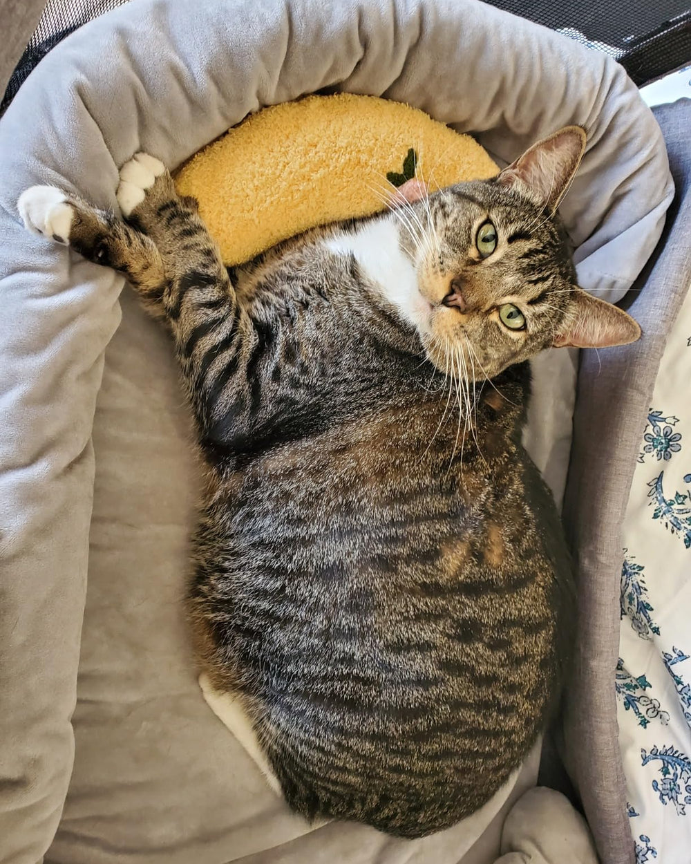 Jamie & Mochi