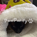 PurrNest - Warm Hug Bag - PawPurify