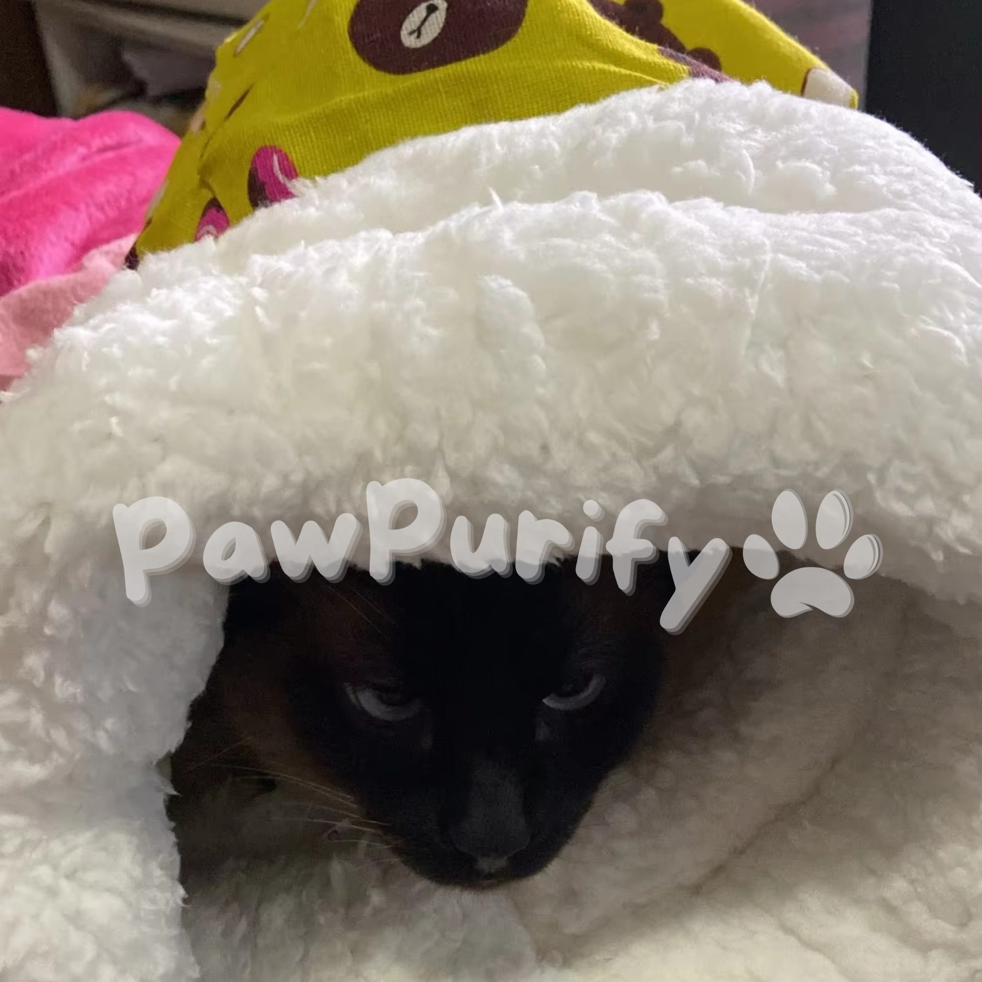 PurrNest - Warm Hug Bag - PawPurify
