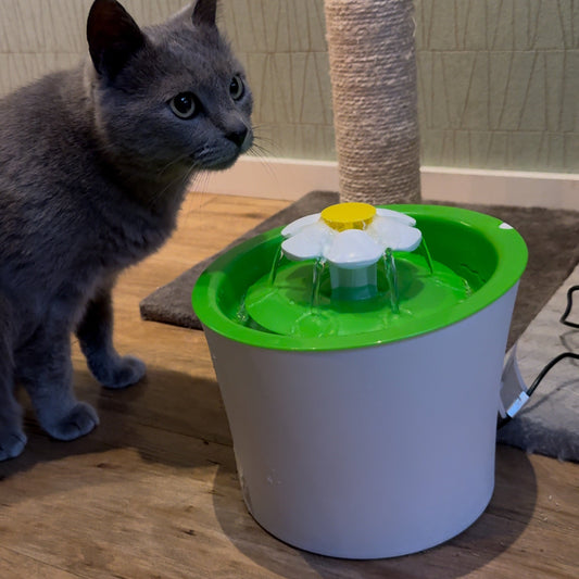 background: #ffffff;
background: -webkit-linear-gradient(333deg, rgba(255, 255, 255, 1) 50%, rgba(49, 145, 67, 1) 50%);
background: -moz-linear-gradient(333deg, rgba(255, 255, 255, 1) 50%, rgba(49, 145, 67, 1) 50%);
background: linear-gradient(333deg, rgba(255, 255, 255, 1) 50%, rgba(49, 145, 67, 1) 50%);
filter: progid:DXImageTransform.Microsoft.gradient(startColorstr="#FFFFFF", endColorstr="#319143", GradientType=0);