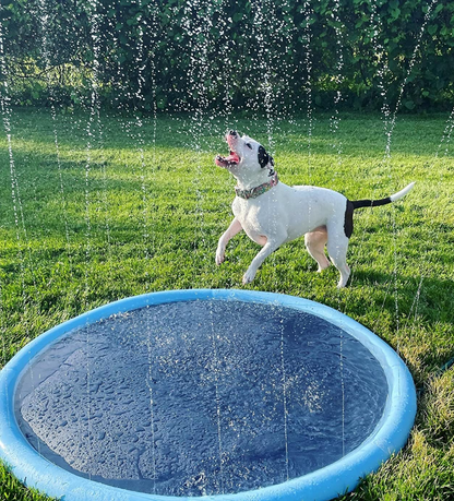 PawSplashPad