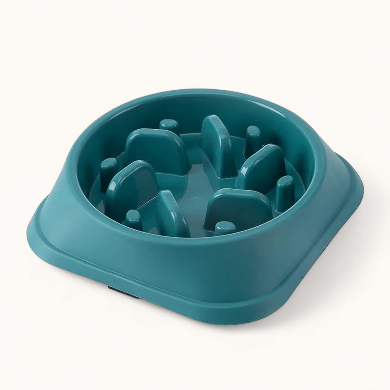 Slow Food Bowl - PawPurify