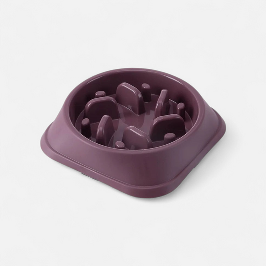 Slow Food Bowl