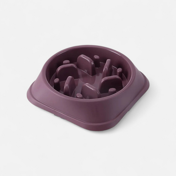 Slow Food Bowl