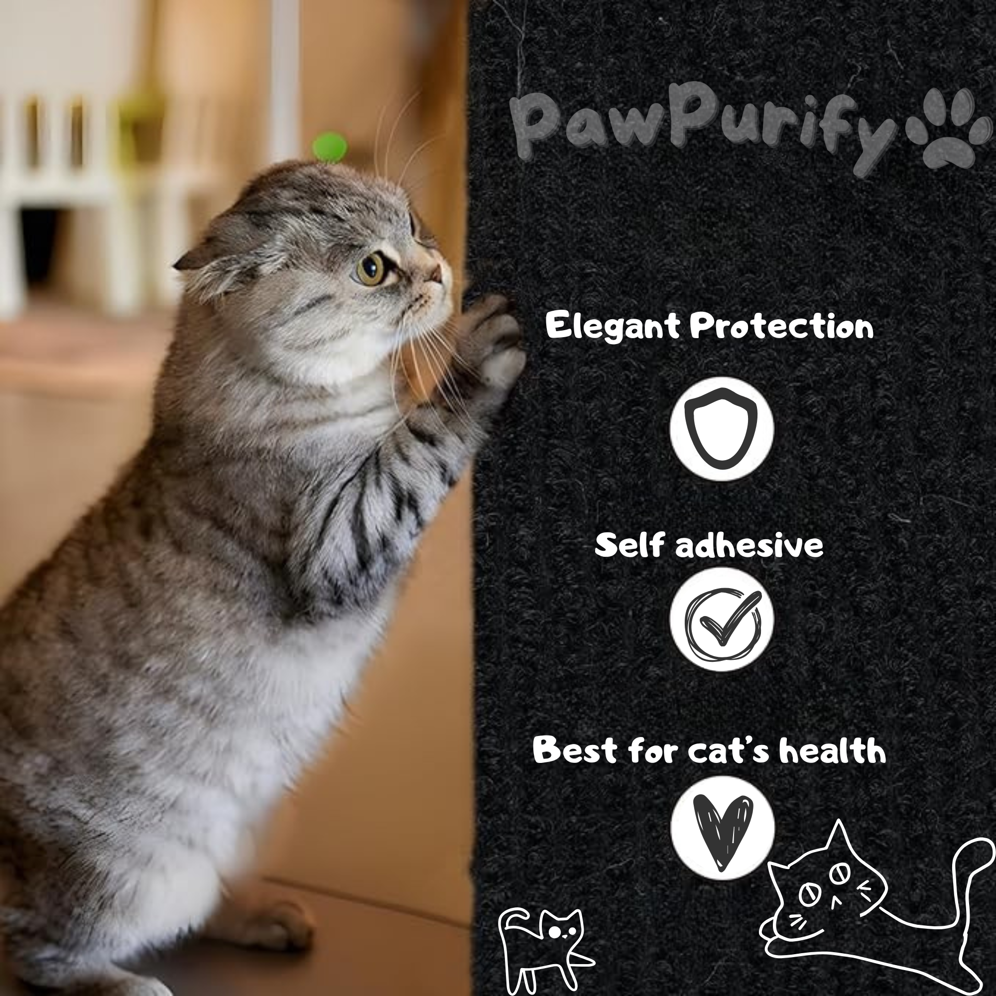 Scratch Shield - PawPurify
