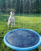 PawSplashPad - PawPurify