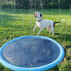 PawSplashPad - PawPurify