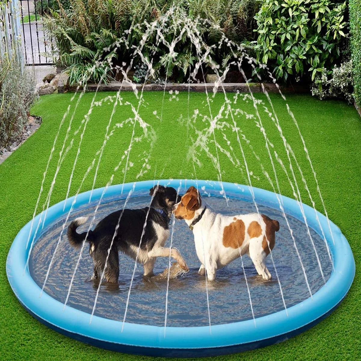 PawSplashPad