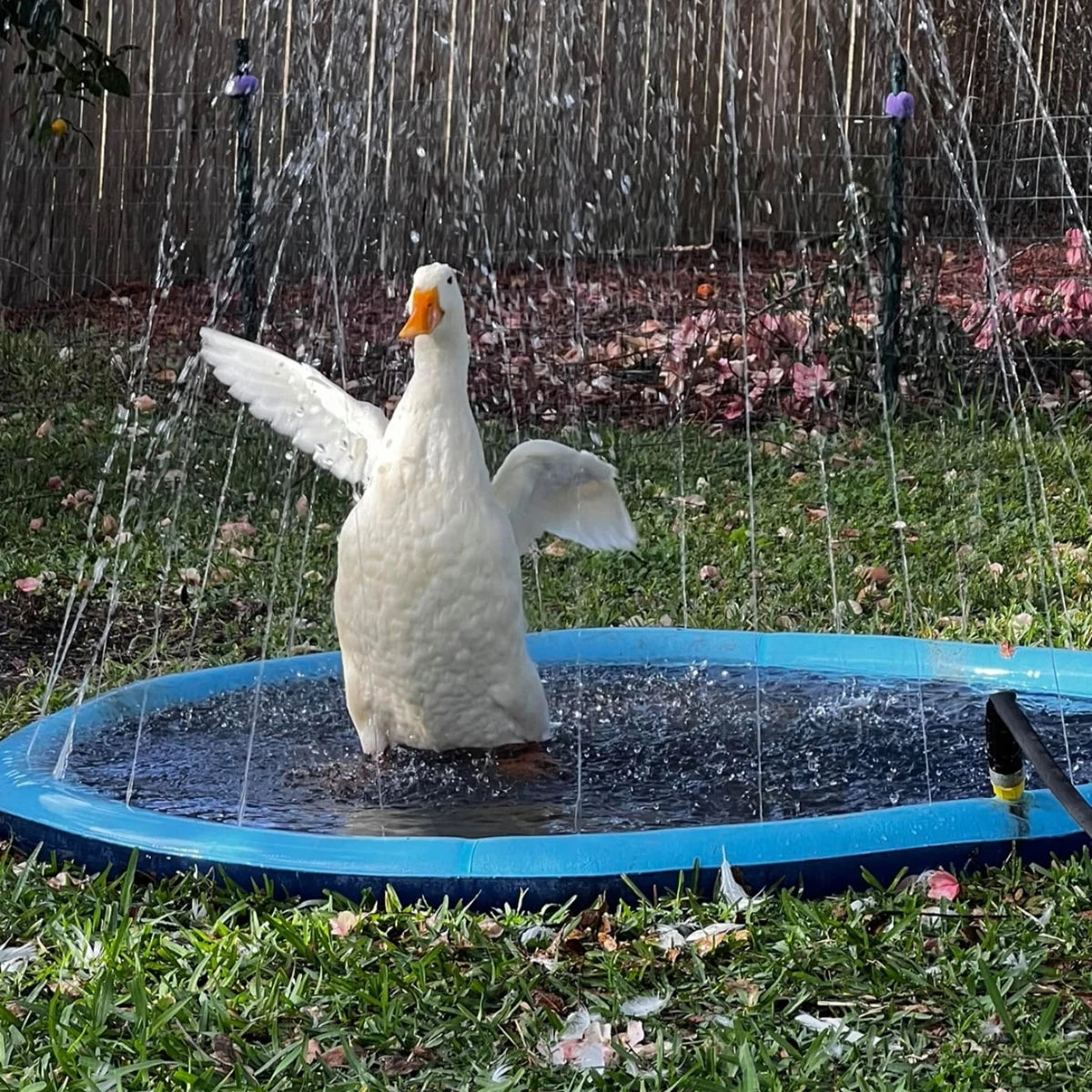 PawSplashPad - PawPurify